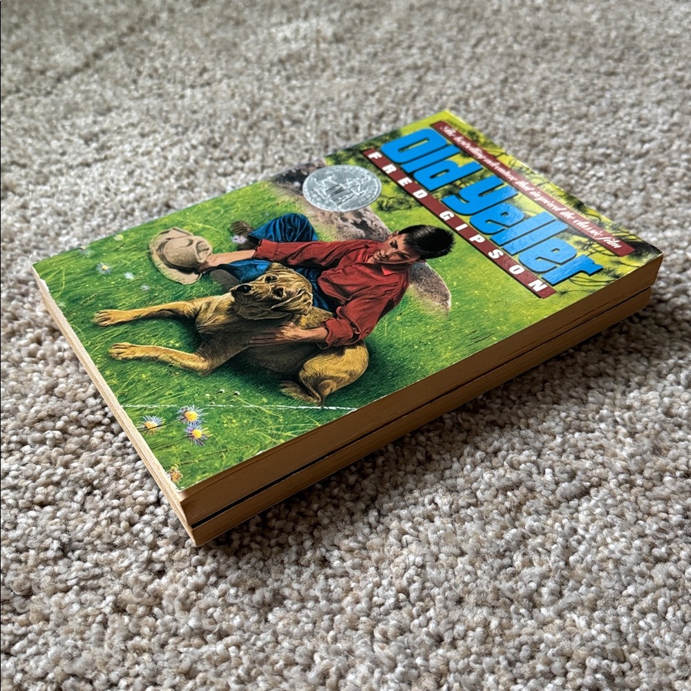 Chapter Books (2) - Picture 3 of 4